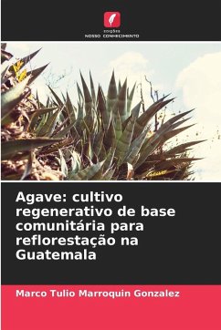 Cover Agave: cultivo regenerativo de base comunitária para reflorestação na Guatemala