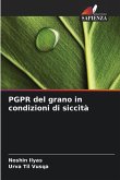 PGPR del grano in condizioni di siccità PGPR del grano in condizioni di siccità