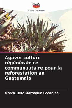 Cover Agave: culture régénératrice communautaire pour la reforestation au Guatemala
