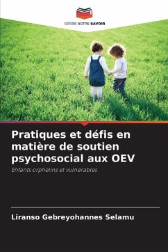 Cover Pratiques et défis en matière de soutien psychosocial aux OEV