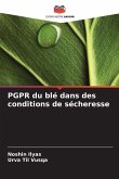 PGPR du blé dans des conditions de sécheresse PGPR du blé dans des conditions de sécheresse