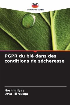 Cover PGPR du blé dans des conditions de sécheresse