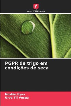 Cover PGPR de trigo em condições de seca