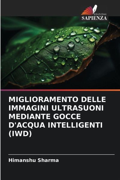 MIGLIORAMENTO DELLE IMMAGINI ULTRASUONI MEDIANTE GOCCE D'ACQUA INTELLIGENTI (IWD) MIGLIORAMENTO DELLE IMMAGINI ULTRASUONI MEDIANTE GOCCE D'ACQUA INTELLIGENTI (IWD)
