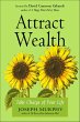 Attract Wealth (eBook, ePUB) - Bild 1