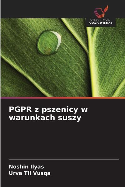 PGPR z pszenicy w warunkach suszy