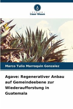 Cover Agave: Regenerativer Anbau auf Gemeindeebene zur Wiederaufforstung in Guatemala