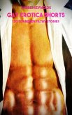 Gay Erotica Shorts - Volume 3 (eBook, ePUB) Gay Erotica Shorts - Volume 3 (eBook, ePUB)