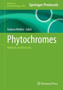 Cover Phytochromes (eBook, PDF)