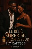 Le bébé surprise du professeur (eBook, ePUB)