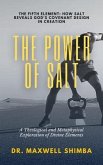 The Power of Salt (eBook, ePUB) The Power of Salt (eBook, ePUB)