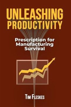 Cover UNLEASHING PRODUCTIVITY (eBook, ePUB)