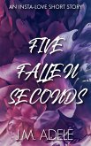 Five Fallen Seconds (eBook, ePUB)