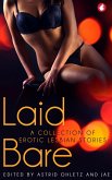 Laid Bare (eBook, ePUB)