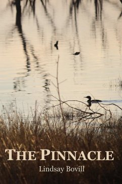 Cover The Pinnacle (eBook, ePUB)
