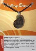 Ammonit Maxicard Healing Stones, R143-22