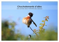 Cover Chuchotements d'ailes - Une année dans l'intimité des oiseaux (Calendrier mural 2026 DIN A3 vertical), CALVENDO calendrier mensuel