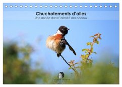 Cover Chuchotements d'ailes - Une année dans l'intimité des oiseaux (Calendrier de bureau 2026 DIN A5 vertical), CALVENDO calendrier mensuel