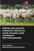 Effetto del pascolo intensivo intorno ai punti d'acqua sulle condizioni dell'allevamento