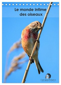 Cover Le monde intime des oiseaux (Calendrier de bureau 2026 DIN A5 horizontal), CALVENDO calendrier mensuel