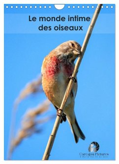 Le monde intime des oiseaux (Calendrier mural 2026 DIN A4 horizontal), CALVENDO calendrier mensuel Cover Le monde intime des oiseaux (Calendrier mural 2026 DIN A4 horizontal), CALVENDO calendrier mensuel