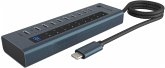 ICY BOX IB-HUB1450-C31 10 Port Hub mit 48W Netzteil