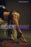 Breaking Brooke (eBook, ePUB)
