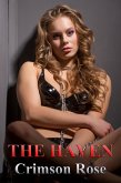 The Haven (eBook, ePUB)