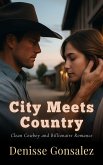 City Meets Country (eBook, ePUB)