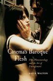 Cinema's Baroque Flesh (eBook, ePUB)