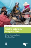 Trading Caterpillar Fungus in Tibet (eBook, ePUB)
