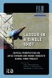 Labour in a Single Shot (eBook, PDF) - Bild 1
