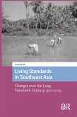 Living Standards in Southeast Asia (eBook, PDF)