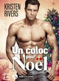 Un coloc pour Noël (eBook, ePUB)
