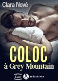 Coloc à Grey Mountain (eBook, ePUB)
