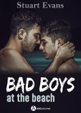 Bad Boys at the Beach (eBook, ePUB)
