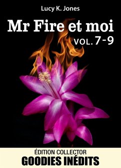 Cover Mr Fire et moi - vol. 7-9 (eBook, ePUB)