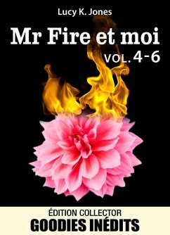 Cover Mr Fire et moi - vol. 4-6 (eBook, ePUB)