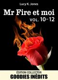 Mr Fire et moi - vol. 10-12 (eBook, ePUB)