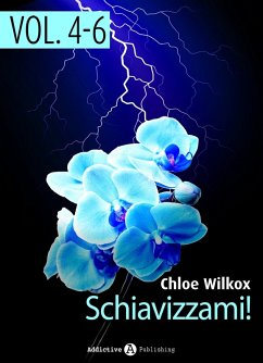 Cover Schiavizzami! - vol. 4-6 (eBook, ePUB)