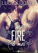 Mr Fire et moi (eBook, ePUB) - Bild 1