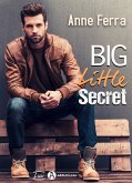 Big Little Secret (eBook, ePUB)