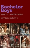 Bachelor Boys - Bundle 1 (eBook, ePUB)