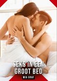 Seks in een groot bed