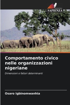 Cover Comportamento civico nelle organizzazioni nigeriane