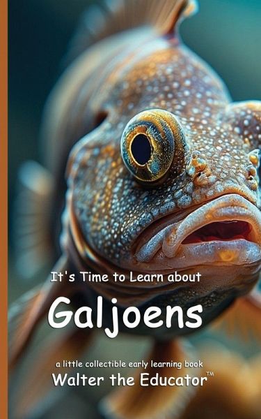 It's Time to Learn about Galjoens It's Time to Learn about Galjoens