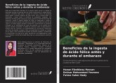 Beneficios de la ingesta de ácido fólico antes y durante el embarazo
