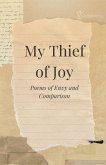 My Thief of Joy
