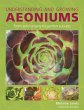 Understanding and Growing Aeoniums - Bild 1