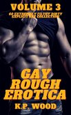 Gay Rough Erotica - Volume 3 (eBook, ePUB)